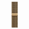 Apple Watch Series 12 46 мм, Radiant Gold Titanium Case, Radiant Gold Milanese Loop (S/M)
