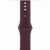 Apple Watch Series 12 42 мм, Radiant Gold Titanium Case, Burgundy Sport Band (S/M)