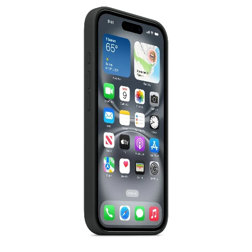 Чехол iPhone 16 Plus Silicone Case Black MYY93
