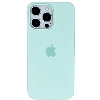 Чехол iPhone 16 Pro Max Silicone Case Aquamarine MDGY4