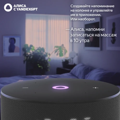 Яндекс Станция Мини 3, Black, черный