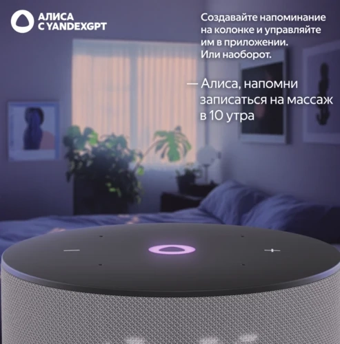 Яндекс Станция Мини 3, Gray, серый