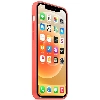 Silicone Case для iPhone 12 Pro Max Pink Citrus