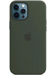 Чехол Silicone Case для iPhone 12 Pro Max Cyprus Green