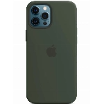 Чехол Silicone Case для iPhone 12 Pro Max Cyprus Green