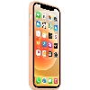 Silicone Case для iPhone 12/12 Pro Cantaloupe