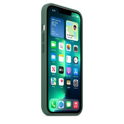 Чехол iPhone 13 Pro Silicone Case Clover