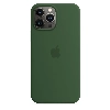 Чехол iPhone 13 Pro Silicone Case Clover