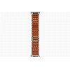 Apple Apple Watch Ultra 3, 49 мм, Natural Titanium Terra Cotta Alpine Loop S