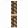Apple Watch Series 11 46 мм, M/L 150–200 мм, GPS + Cellular, Natural Titanium Case, Natural Milanese Loop (M/L)