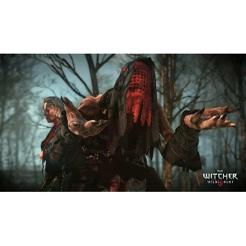 Игра для PS5 Witcher 3: Wild Hunt 