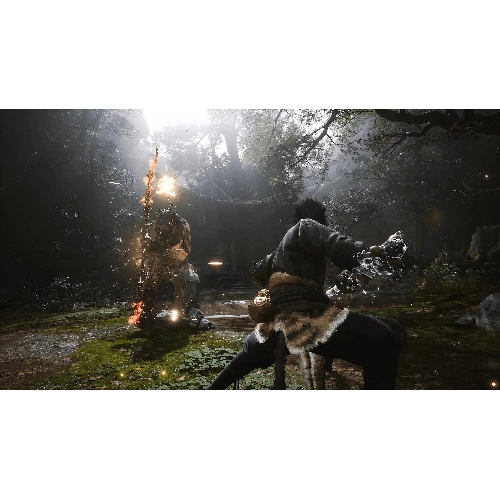 Игра для PS5 Black Myth Wukong 