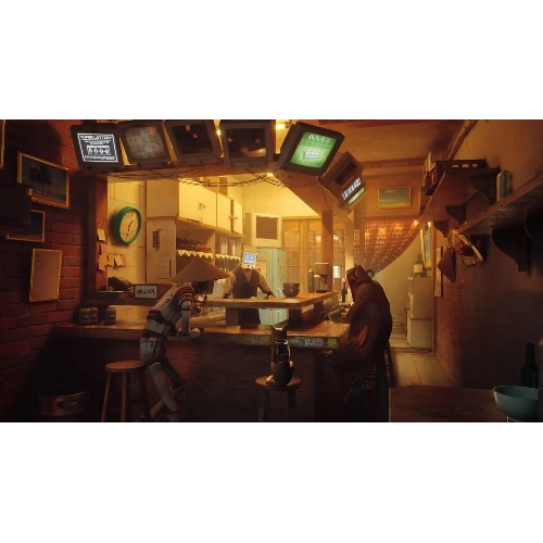 Игра для PS5 Stray 