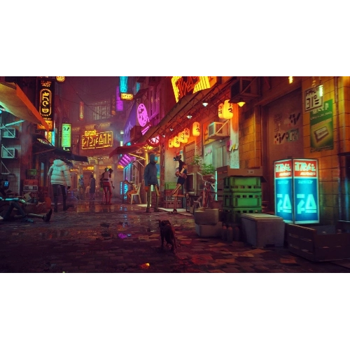 Игра для PS5 Stray 