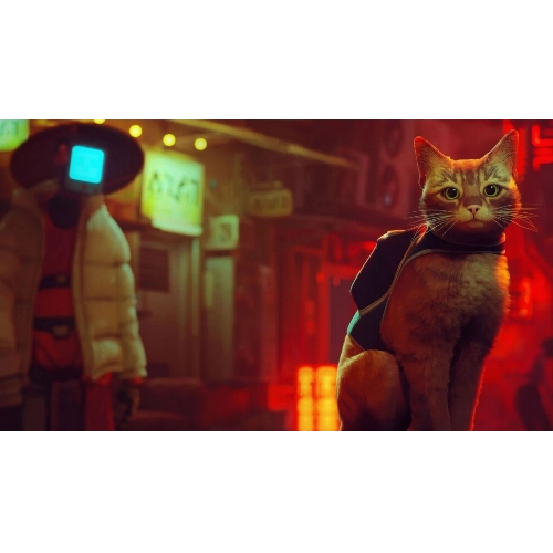 Игра для PS5 Stray 