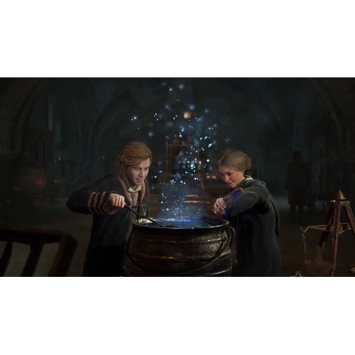 Игра для PS5 Hogwarts Legacy