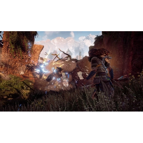 Игра для PS5  Horizon Forbidden West