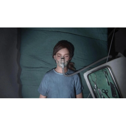 Игра для PS5 Last Of Us: Part II (русский язык)