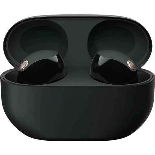 Наушники Sony WF-1000XM5, Black, черный