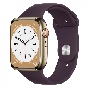 Умные часы Apple Watch Series 8 45 мм Gold Stainless Steel with Elderberry Sport Band